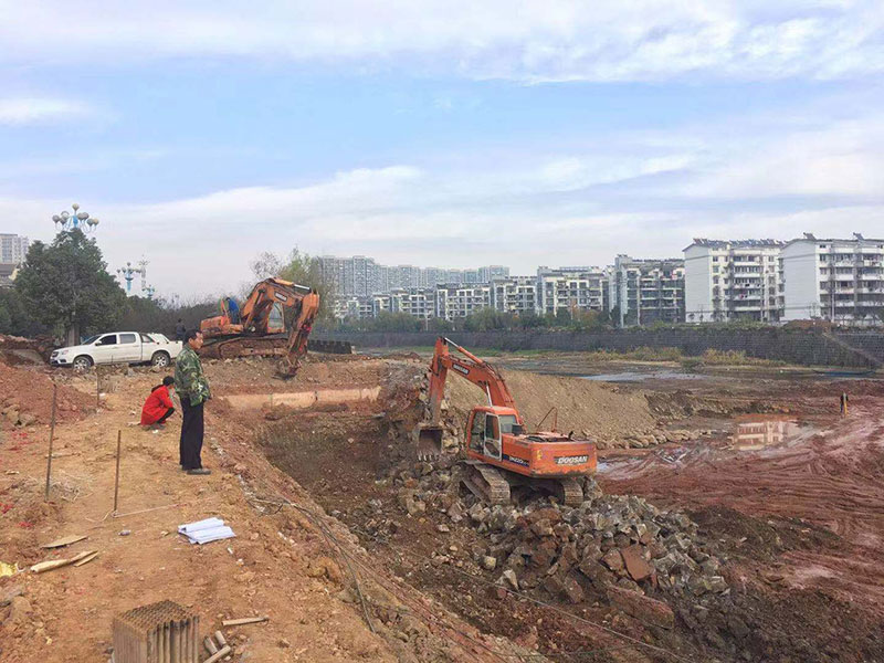 八一大橋建設項目