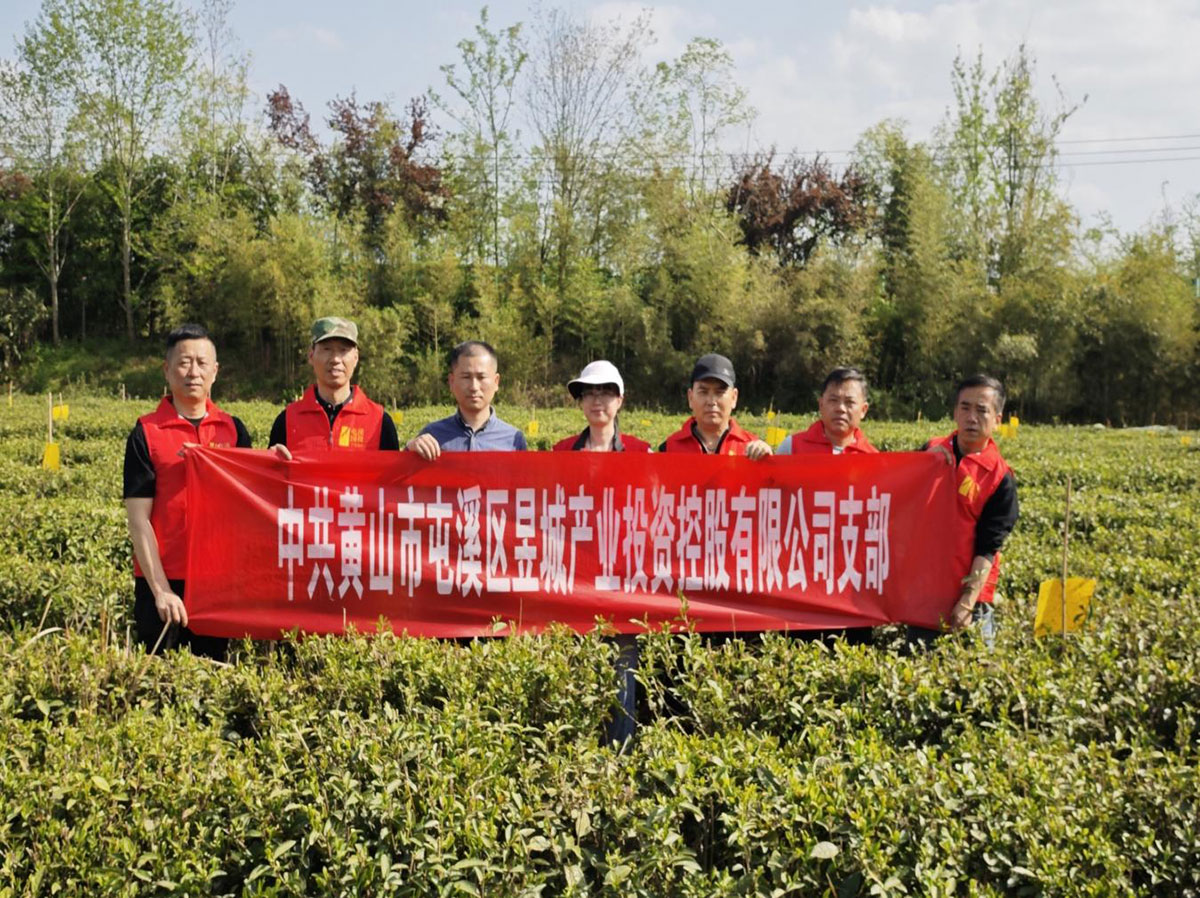 昱城產(chǎn)投公司黨支部開展“茶香潤初心，黨旗映茶園”主題黨日活動